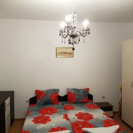 Aphrodite Rose 阳光海滩