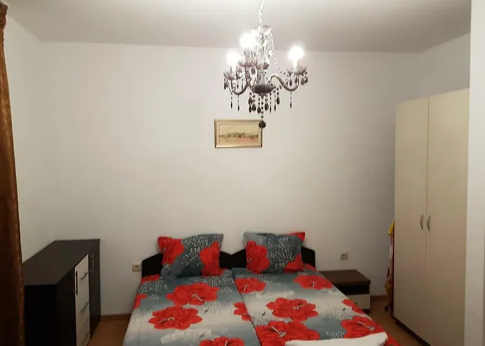 Aphrodite Rose Sunny Beach